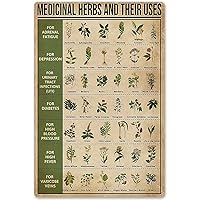 Medicinal Herbs and Their Uses Posters Metal Signs Chic Retro Sign Club Living Room School Home Decor Knowledge Aluminum Sign Gift 12x16 Inches