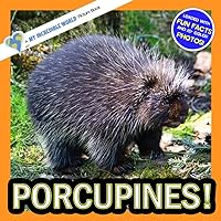 Porcupines!: A My Incredible World Picture Book for Children (My Incredible World: Nature and Animal Picture Books for Children) Porcupines!: A My Incredible World Picture Book for Children (My Incredible World: Nature and Animal Picture Books for Children) Paperback Kindle