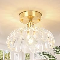 Semi Flush Mount Ceiling Light, Gold Hallway Lights Fixture Ceiling with Clear Scindapsus Glass, Bulb Included, 4.72