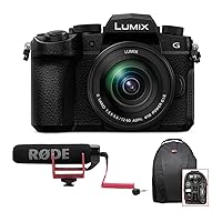 Panasonic LUMIX G95 20.3MP Mirrorless Camera Bundle with Microphone and Photo and Video Backpack (3 Items)