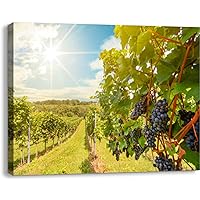 Bathroom Wall Art Decor for Bedroom Living Room Small Canvas Wall Art Framed Sunset over vineyards red wine grapes late summer Prints Artwork Painting Pictures Kitchen Office