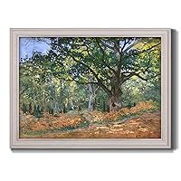 Renditions Gallery Canvas Wall Art White Framed Abstract Artwork Bodmer Green Forest View Modern Nature Paintings & Prints for Bedroom Dining Living Room Office Home Kitchen Decor - 29