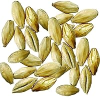 Malt - White Wheat - 10 lb Milled