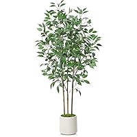Ficus Artificial Tree 5ft Tall Fake Ficus Tree for Home Decor Indoor Faux Silk Ficus Plant Fake Floor Plant in White Imitation Ceramic Planter with Green Fake Moss, Set of 1