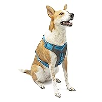 Kurgo K01936 Dog Harness for Large, Medium, & Small Active Dogs, Pet Hiking Harness for Running & Walking, Everyday Harnesses for Pets, Reflective, Journey Air, Blue/Grey 2018, X-Large