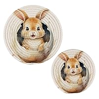 Rabbit (1) Trivets for Hot Dishes 2 Pcs,Hot Pad for Kitchen,Trivets for Hot Pots and Pans,Large Coasters Cotton Mat Cooking Potholder Set