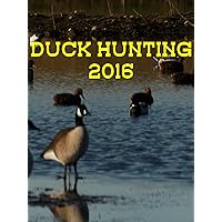 Duck hunting 2016