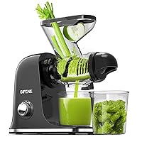 Cold Press Juicer Machine, Compact Single Serve Slow Masticating Juicer, Vegetable and Fruit Juice Extractor Maker Squeezer, Easy to Clean, BPA Free (Black)