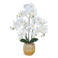 Artificial Orchid Flowers & Plants Potted in Ceramic Pot, White Faux Phalaenopsis Orchids for Table Centerpiece, Realistic Fake Flower Arrangement for Home Office Decor Indoor