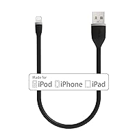 Satechi Flexible Apple MFi Certified Lightning USB Charging Cable - Compatible with iPhone 11 Pro Max/11 Pro/11, Xs Max/XS/XR/X, 8 Plus/8 (10-Inch, Black)