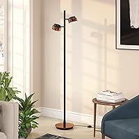 Jex 2-Light Floor Lamp with Metal Shade in Blackened Bronze/Copper/Copper, Floor Lamp Modern, 68