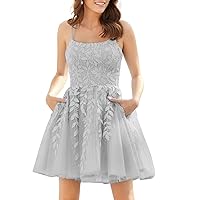 Homecoming Dresses for Teens Short Tulle Juniors Prom Dress with Pockets 2024 R002
