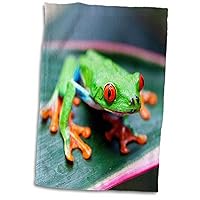 3D Rose Red Eyed Tree Frog On Leaf-Costa Rica Hand Towel, 15