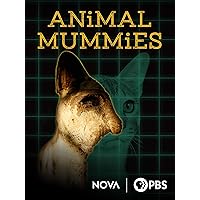 Animal Mummies