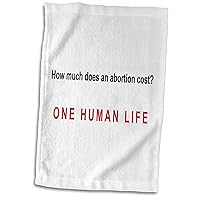 3dRose Mark Andrews ZeGear Spiritual - How Much Does Abortion Cost - Towels (twl-60812-1)