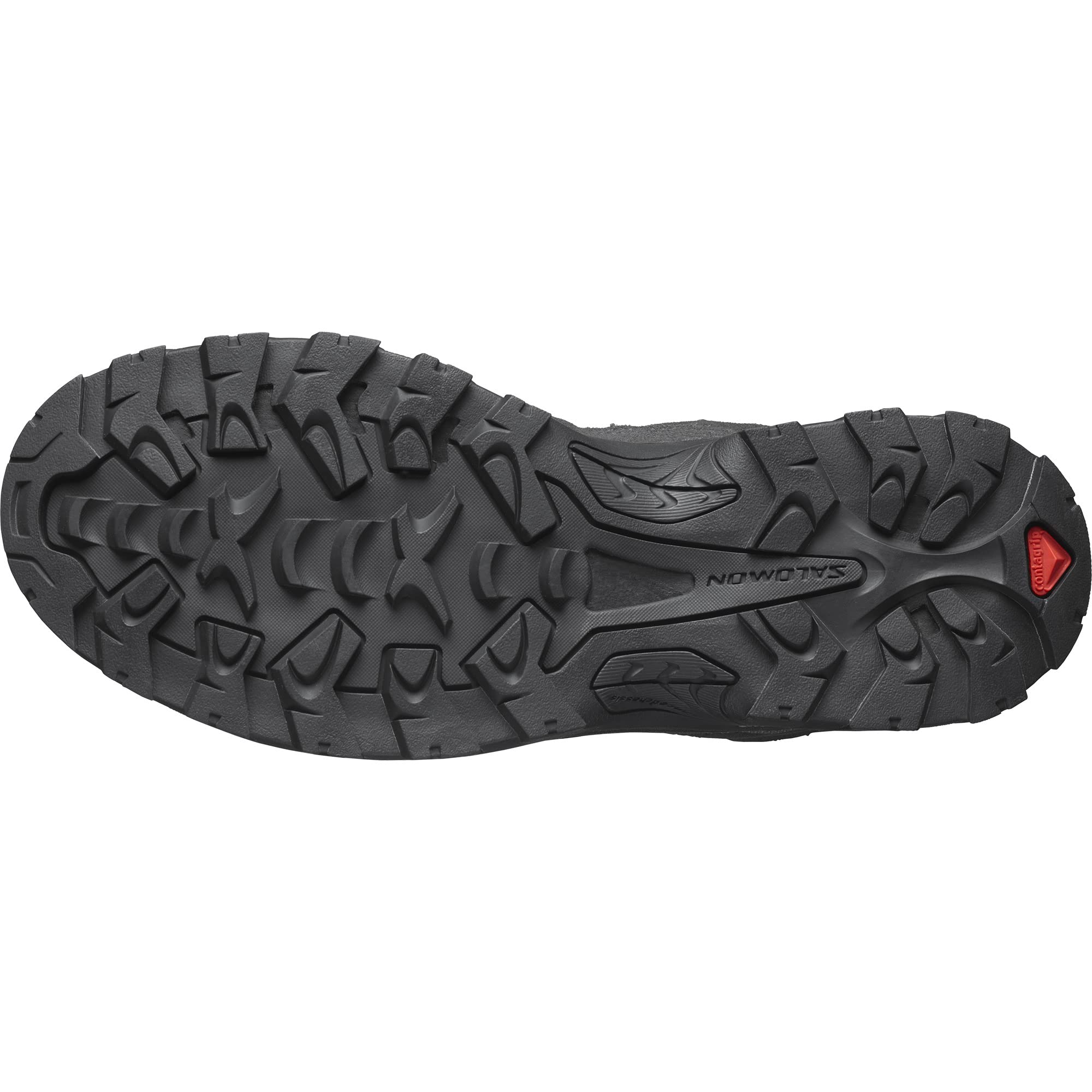 Salomon Men's Quest Rove Gore-tex Trail Running Shoe