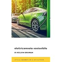 elettricamente sostenibili: lotta all'inquinamento con le auto elettriche (Italian Edition)