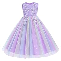 Flower Girls Lace Wedding Tulle Dress Pageant Embroidery Full Length Princess Communion Party Birthday Evening Gown