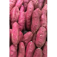 SWEET POTATOES: The sweet potato is a dicotyledonous plant that belongs to the bindweed or morning glory family, Convolvulaceae. Its large, starchy, ... leaves and shoots can be eaten as greens.