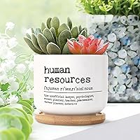 3 Piece Human Resources Definition Small Ceramic Plant Pot Definition Typography Cactus Pot with Drainage and Bamboo Tray Human Resources Ceramic Pots for Plants