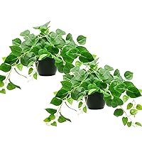 Tiita 2 Pack Fake Plants Artificial Scindapsus Aureus in Pots, Realistic Fake Greenery Potted Plants for Home Office Desk Window Sill Bathroom Bedroom Outdoor Indoor