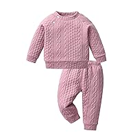 Toddler Infant Baby Boy Girl Clothes Unisex Solid Sweatsuit Long Sleeve Warm Pullover Tops Pants Set