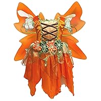 Petitebella Orange Fairy Dress