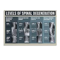 Spinal Degeneration Poster Chiropractor Poster Spinal Knowledge Poster Learning Spinal Degeneration Process Poster Home Living Room Bedroom Decoration Gift Printing Art Poster Unframe-style 24x
