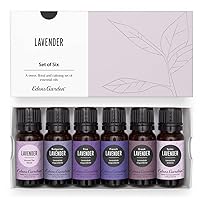 Lavender Essential Oil 6 Set, Best 100% Pure Aromatherapy Sampler Kit (for Diffuser & Therapeutic Use), 10 ml Set of 6