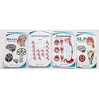 Blue Tree Publishing SLP, Swallowing, Speech Articulation, Brain Anatomy Anatomical Pocket Charts Set 4x5.25inch