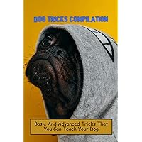 Dog Tricks Compilation: Basic And Advanced Tricks That You Can Teach Your Dog