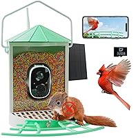 Smart Bird Feeder with Camera Solar Powered, 1080P HD Wild Bird Watching Cam Auto Capture Videos and AI Identify, Squirrel Proof Metal Bird Feeders, Ideal Gift for Bird Lovers (Mint Green)