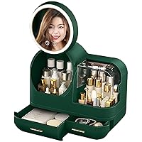 Cosmetic Organizer with Fan and 360° Rotating LED Mirror 3 Color Adjustable Makeup Organizer Storage Box Standing Countertop Multifunctional Storage Box (Color : Green)