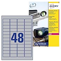 Avery L6009-20 Extra-Strong Adhesive Silver Heavy Duty Labels, 48 Labels Per A4 Sheet