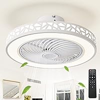 JUTIFAN Ceiling Fan with Lights Remote Control, 19