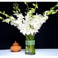 Fresh Flowers White Dendrobium Orchids with Vase