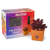 ZendoZones Fruit Fly Trap with Zendo Lure, Joyful Janet with Plastic Terra Cotta Colored Base, Refillable and Reusable