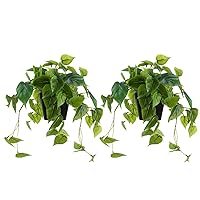 2 Pack Artificial Scindapsus Aureus, Realistic Fake Plants with Plastic Pot for Home Office Bedroom Indoor Outdoor Decor(8in H)