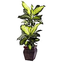 Nearly Natural Dieffenbachia with Decorative Planter Artificial Trees, 45in, Green, Golden