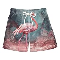 ALAZA Flamingo Landscape Mountain Boy’s Swim Trunk Quick Dry Beach Shorts Swimsuit Bathing Suit Swimwear