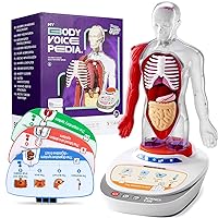 SCIENCE CAN Human Body Model for Kids, Interactive Anatomy Toys for Kids 5-7, Human Anatomy Model with 15 Pcs Removable