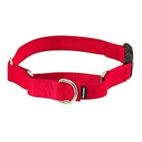 PetSafe Martingale Collar with Quick Snap Buckle, 3/4
