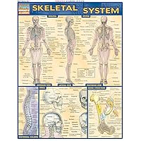 Skeletal System (Quick Study Academic) Skeletal System (Quick Study Academic) Cards Loose Leaf