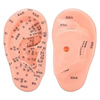 Qiangcui Ear Acupuncture Model, Easy to Observe PVC Accurate Clear No Odor Ear Zone Model Human Ear Model for Home for Hospital for School for University