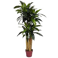 Nearly Natural 4ft. Corn Stalk Dracaena Silk (Real Touch) Artificial Plant, 4 ft, Green