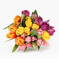 BloomsyBox Rainbow Tulip Bouquet - 25 Stunning, Bright, Multicolored Tulip Stems with Care Card & Flower Food For Your Home Decor - Perfect for Weddings, Anniversaries, Birthdays & Get Well Soon Gifts