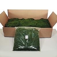 Vickerman's Preserved Real Sheet Moss Bag - Rich Textured Green Moss Sheet for Coffee Table Decor and Natural Arrangements - Maintenance Free - 1.1 pounds