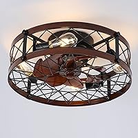 Retro Small Ceiling Fan with Light Remote Control, Ceiling Fans with Lights Flush-Mount, Low-Profile Ceiling Fan with Light, Caged Ceiling Fan with Light