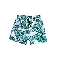 Boy 18 Month Toddler Kids Infant Baby Boys Summer Print Shorts Quick Dry Beach Swimwear Swimming Trunks Kids