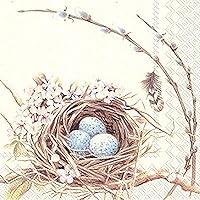 Boston International IHR 3-Ply Paper Napkins, 20-Count Lunch Size, Birds Nest with Eggs